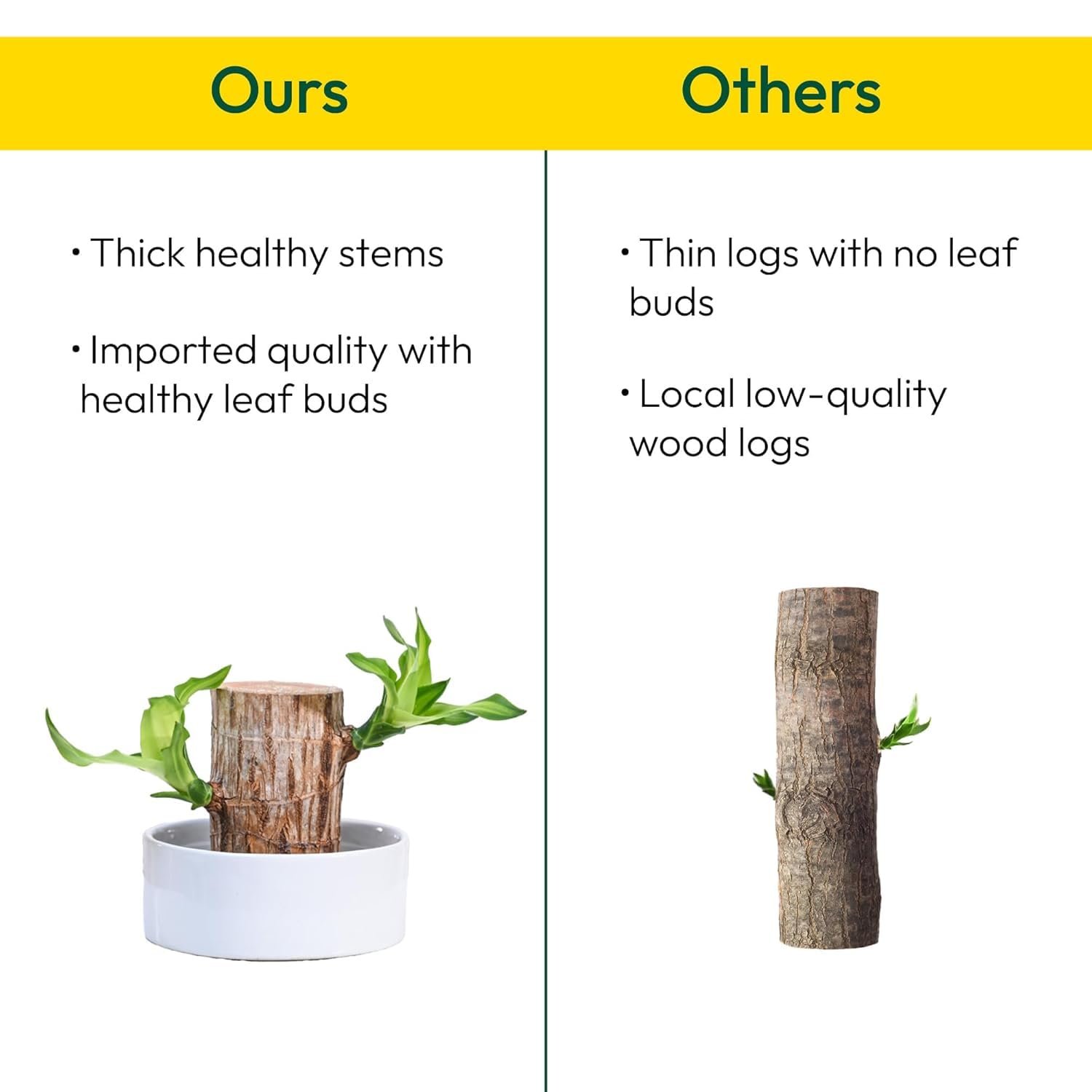 SPDROPEZONE dropshipping platform