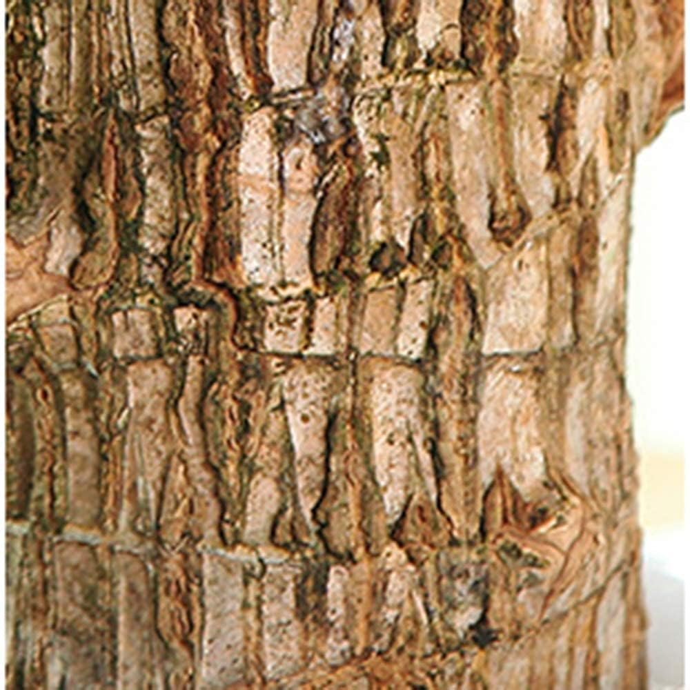 SPDROPEZONE dropshipping platform